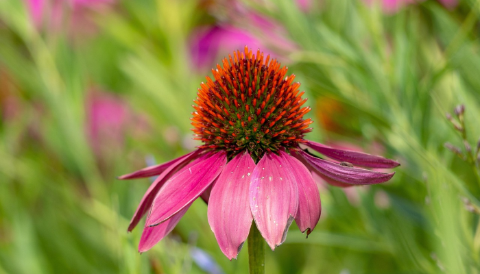 最新疫情报道实时：让你时刻掌握全球动态