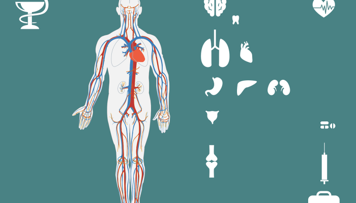 疫情榆林地区最新消息:齐心协力,共克时艰 疫情榆林地区最新消息:齐心协力,共克时艰