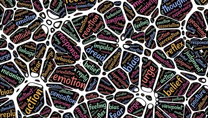 疫情最新信息钦州：了解最新动态，保护健康