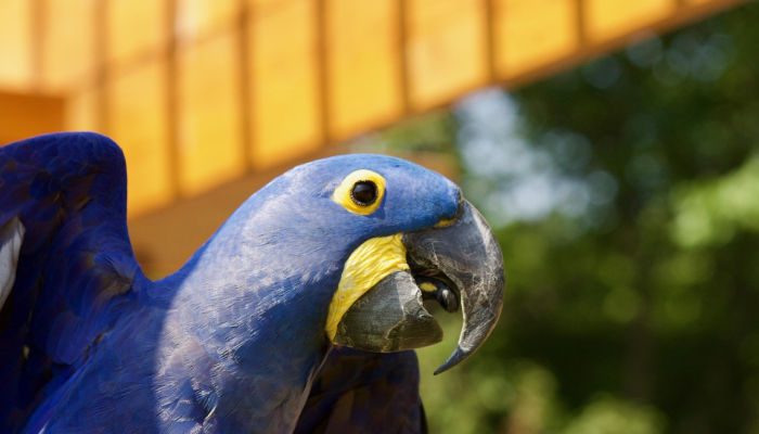 临邑疫情等级最新:全面了解最新动态与防疫措施 临邑疫情等级最新:全面了解最新动态与防疫措施