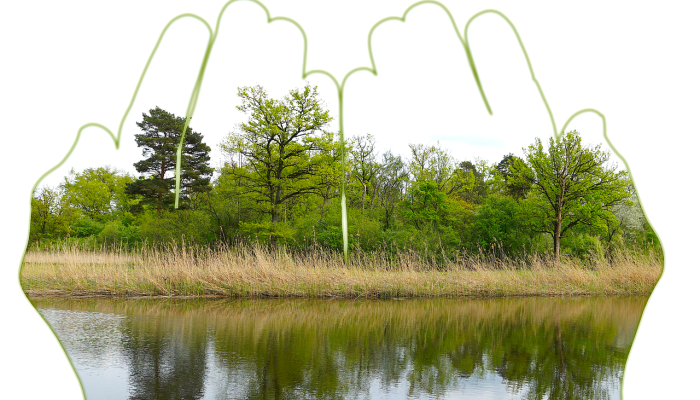 福建惠安最新消息疫情