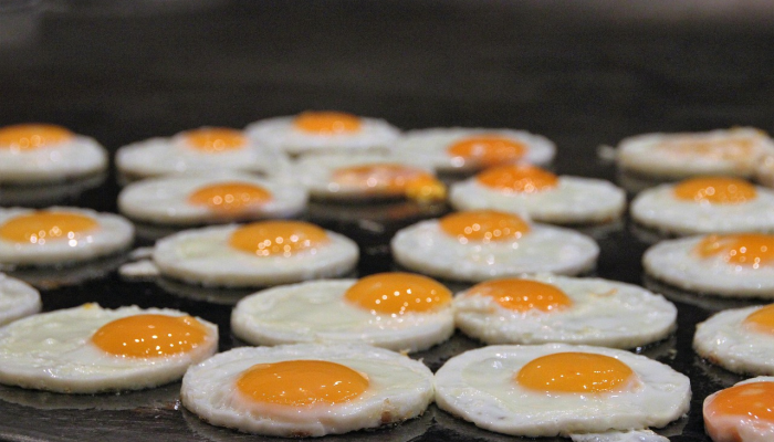 疫情食品最新报告：让你安心饮食的全面指南