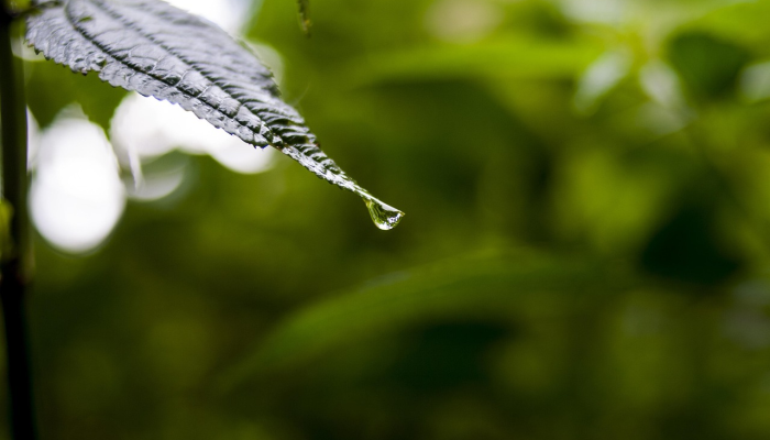 最新消息德州疫情等级：全面解读最新动态与防护策略