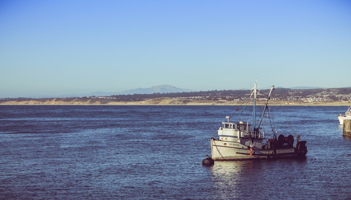 最新金湖疫情：全面解读与防护指南