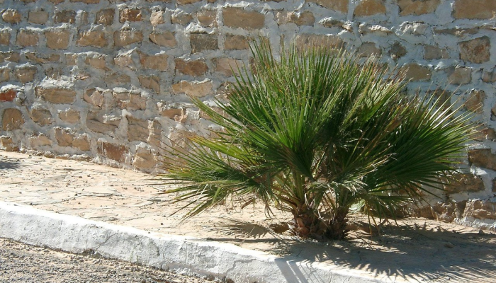 湖南巴士疫情最新：全面了解疫情动态与防护措施