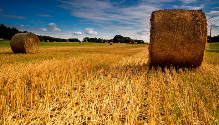 唐山农村最新疫情：全面解读与未来展望