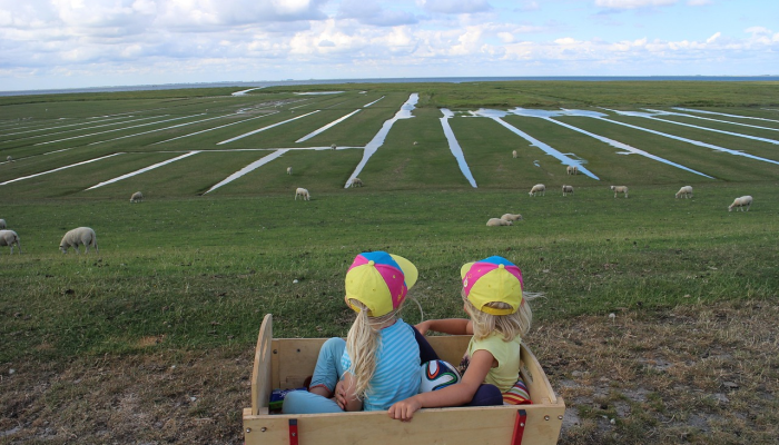 口罩疫情最新：全球防护战线持续更新