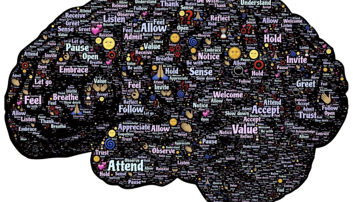 民权颜集疫情最新消息：与时俱进的健康守护