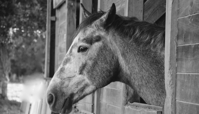 泉州百度最新疫情图片：掌握最新动态，保护健康第一