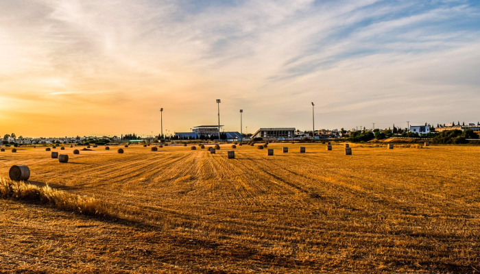 东升镇疫情最新情况:责任与希望共筑安全未来 东升镇疫情最新情况:责任与希望共筑安全未来