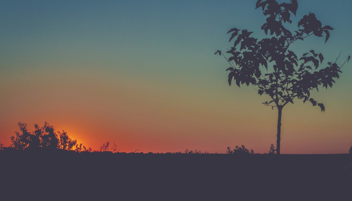 福州当前疫情最新情况