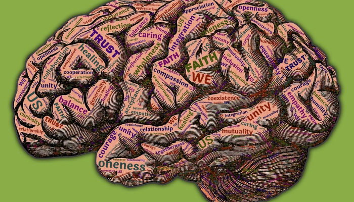 眉山疫情最新调整：全面了解最新动态，为您的健康保驾护航