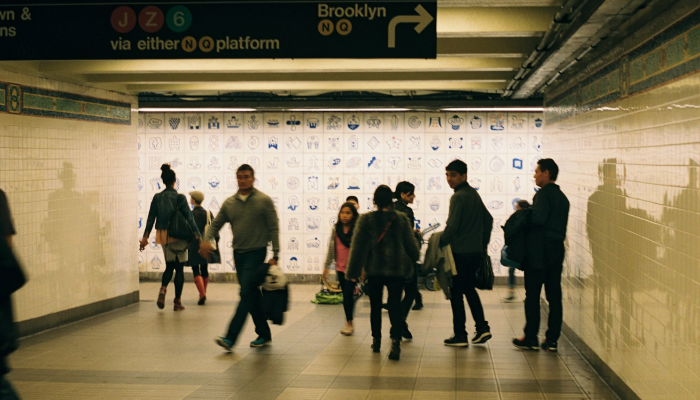 蔡家坡疫情最新视频：真实、透明、全面的信息来源