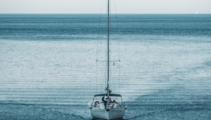 游轮疫情最新动态：安全、健康与航行愉悦的完美平衡